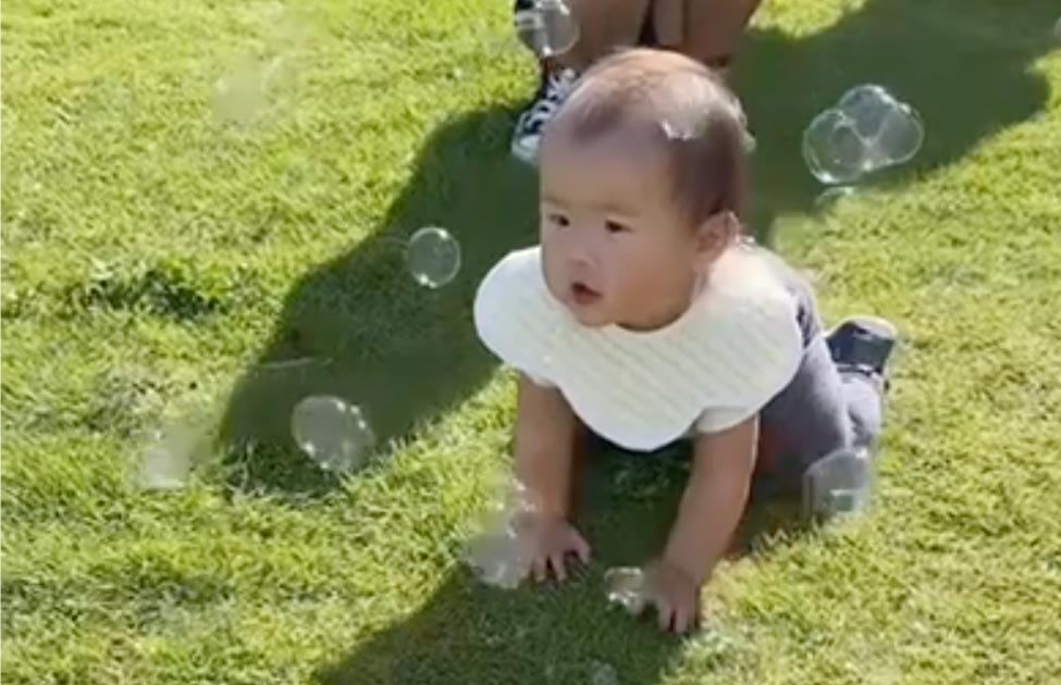 ドッグランで遊ぶ男の子