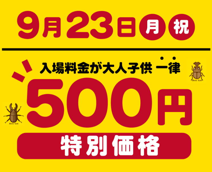 9/23は特別価格！