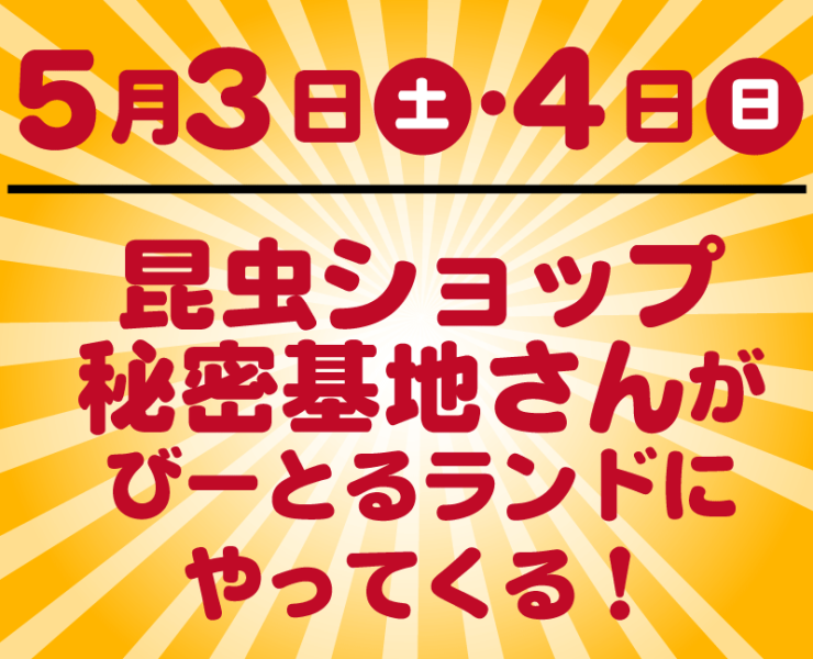 5月3日・4日昆虫ショップ秘密基地さんが君津基地のびーとるランドにやってくる！