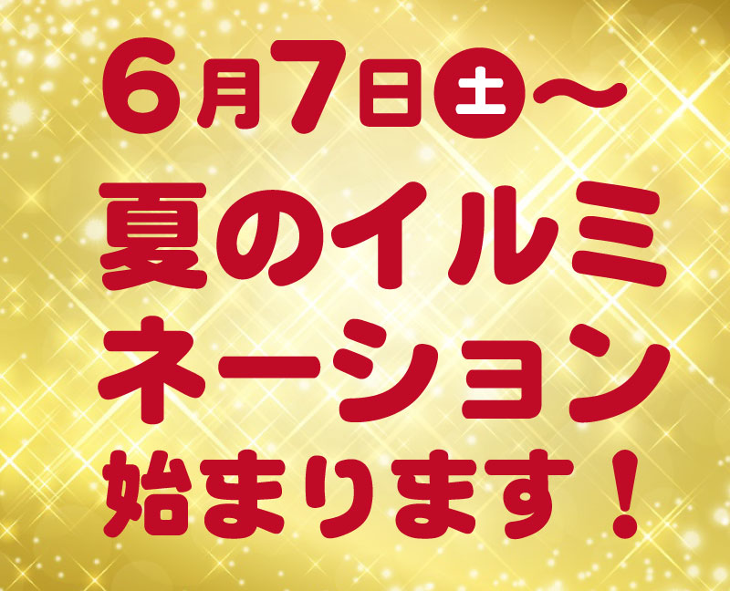 びーとるランドで夏のイルミネーション始まります！